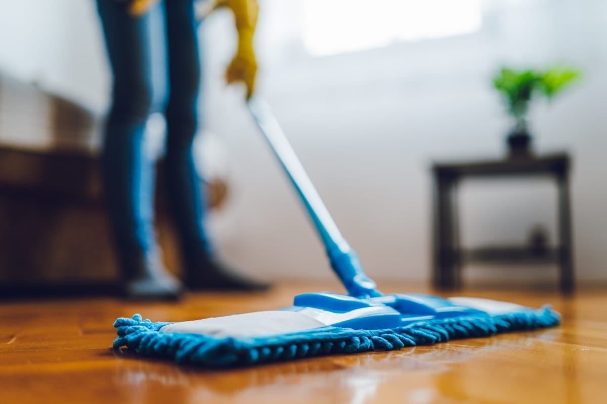 Recurring cleaning services in Denver, CO